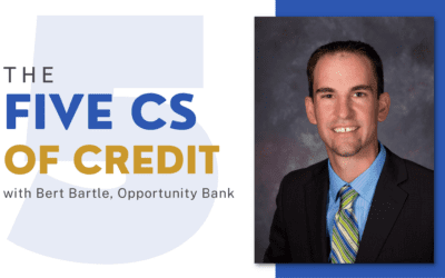 The 5 Cs of Credit